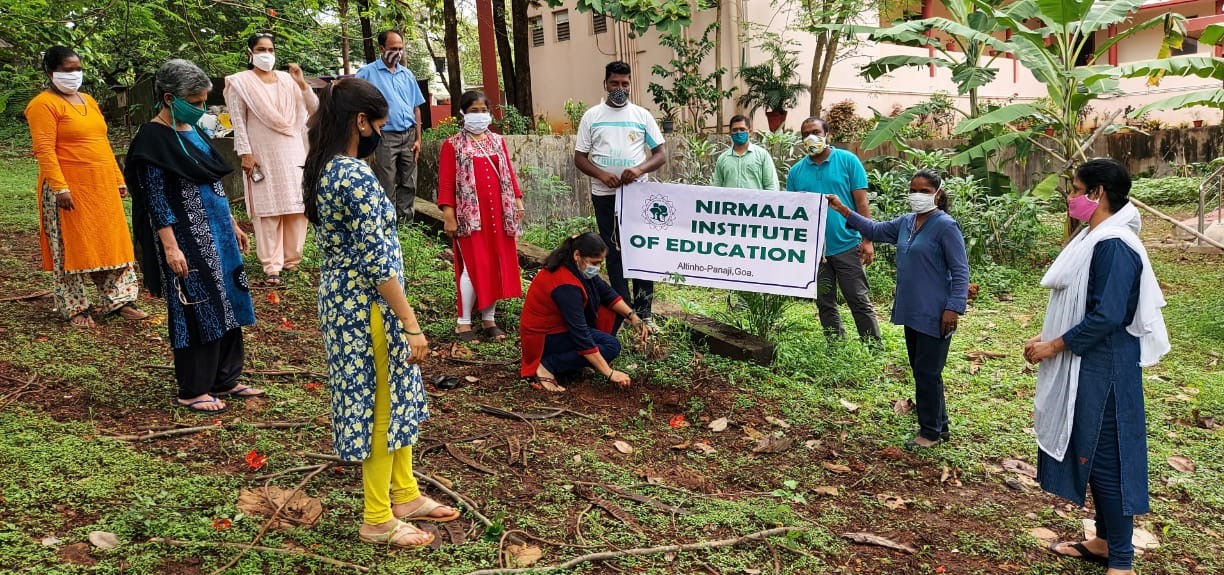 Tree Plantation